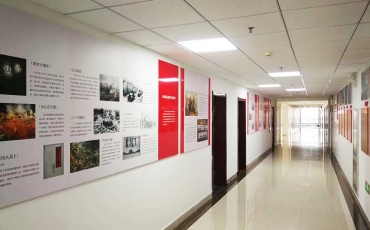 深圳党建文化墙类型内容都有哪些